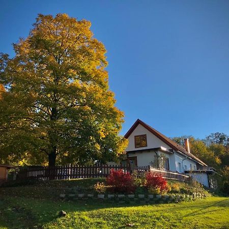 Ferienhaus Koller Güssing Dış mekan fotoğraf