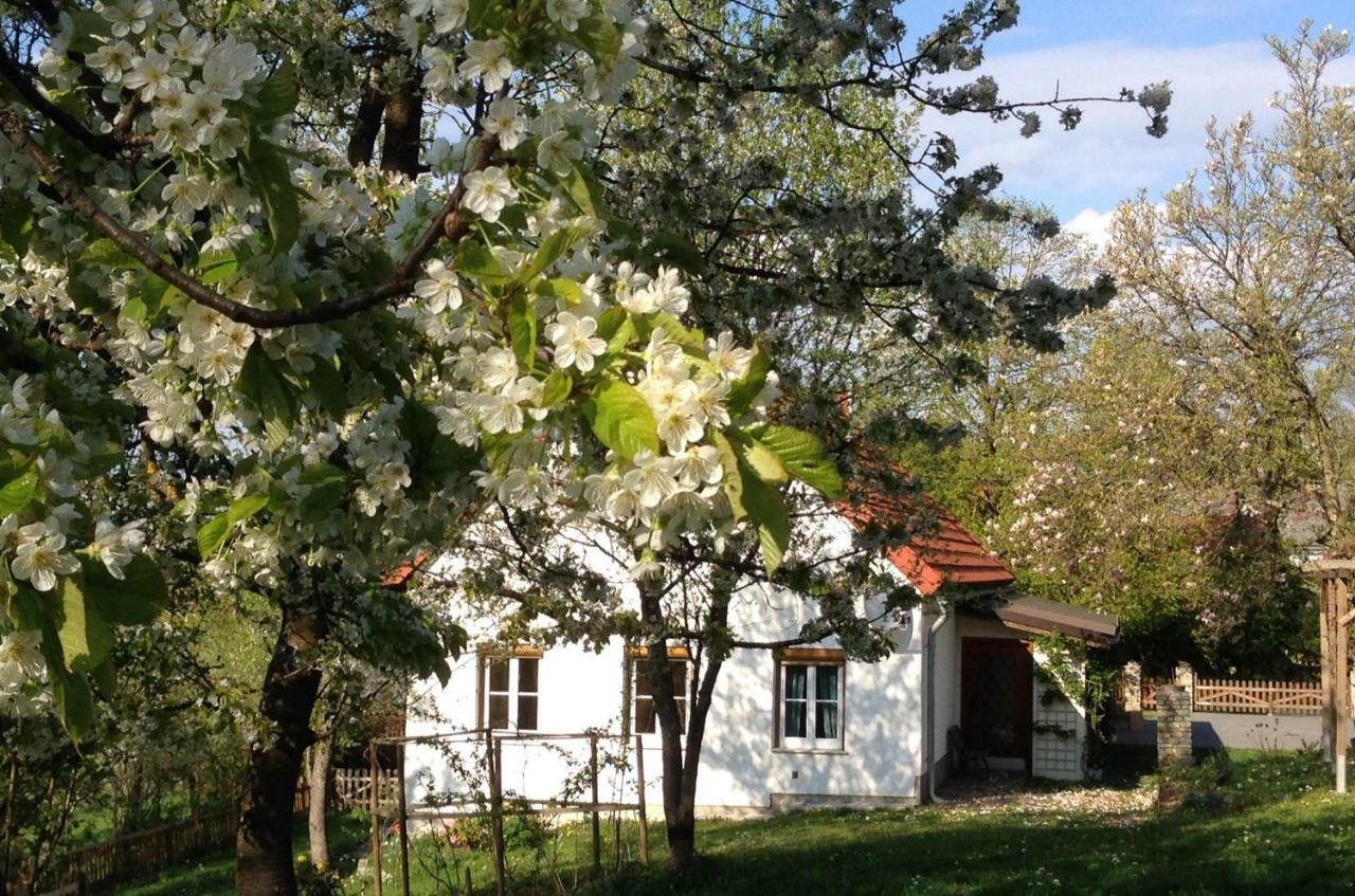 Ferienhaus Koller Güssing Dış mekan fotoğraf